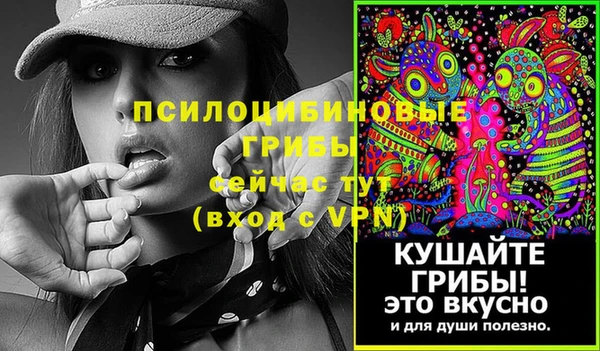 шишки Вязьма