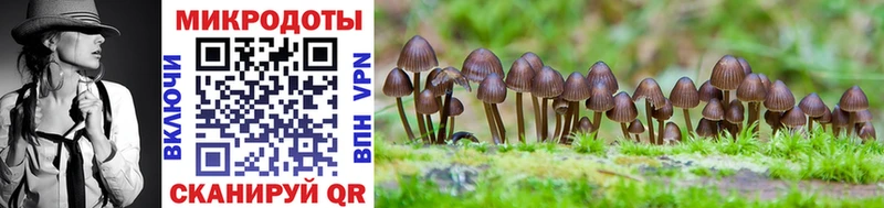 Псилоцибиновые грибы GOLDEN TEACHER  Заволжье 